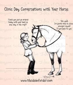 The Idea of Order: Clinic Day Conversations With Your Horse…