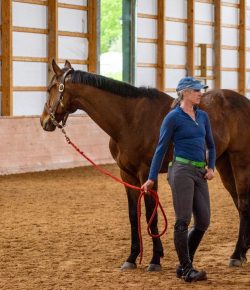 Thoroughbred Logic, Presented by Kentucky Performance Products: 3 “Tricks” To Restore Calm When Off Property