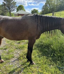 Triple Trouble: The Cost of Great Care Is Resentment