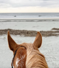 #goriding Grams of the Week