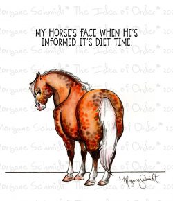 The Idea of Order: Diet Time…