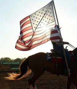 Reader Photo Challenge: Red, White and Blue