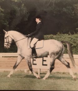 Training in the Right Way: What Is an Aid?