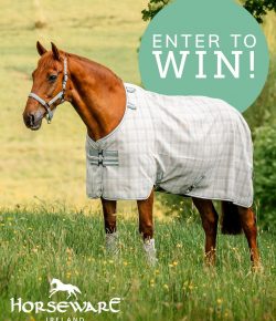 SmartPak Monday Morning Feed: Get Out Bugs!