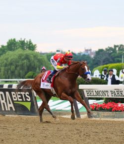 Speed vs. Stamina: Which Contenders Have What It Takes for Belmont’s Grueling Distance?