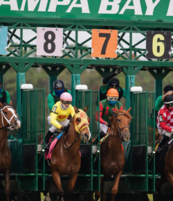 How to Get Better at Horse Race Betting