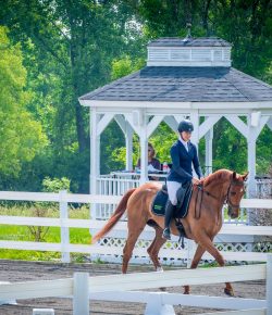 Thoroughbred Logic, Presented by Kentucky Performance Products: Market Frustrations