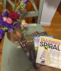 Improving Your Riding: Knowledge Isn’t Enough