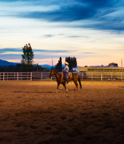 Ideas for Improving Horse Footing in Moist Areas