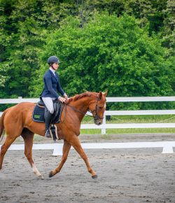 Thoroughbred Logic, Presented by Kentucky Performance Products: Just Do It