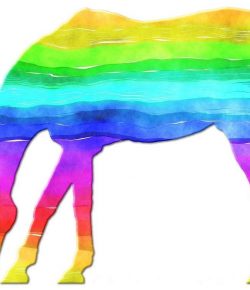 Saddles and Solidarity on Queer Horse-Tok