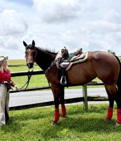 Triple Trouble: The Roller Coaster Ride of Seasoning Hot Sauce