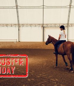 Mythbuster Monday: Horses Ridden in Dusty Arenas Have Diminished Lung Capacity