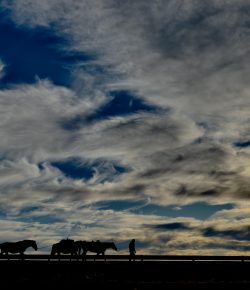 Five Years on Horseback: 1,000 Miles Done