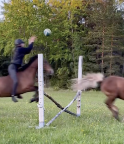 Tuesday Video: Trick Riding