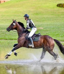 Thoroughbred Logic, Presented by Kentucky Performance Products: You Know You Have an Eventer When…