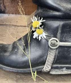 Training in the Right Way: Let’s Talk About Spurs…