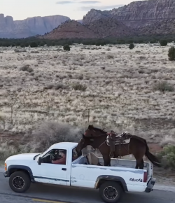 Thursday Video: Next Hauling Level Unlocked
