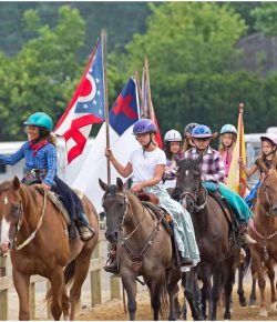 Ask AI Equestrian Edition: A Horse’s View of the Declaration of Independence