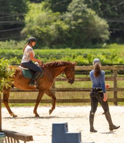 Thoroughbred Logic, Presented by Kentucky Performance Products: Suspended Disbelief