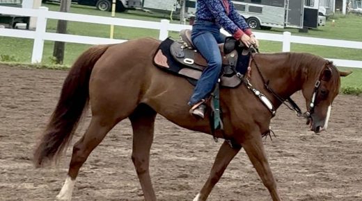 Improving Your Riding: More Pressure Is Not Always the Answer