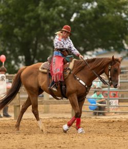 Triple Trouble: A Suspensory Shock