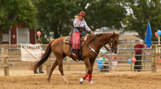 Triple Trouble: A Suspensory Shock