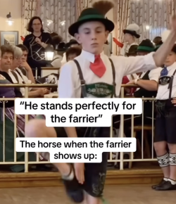 Thursday Video: Horses Always Make Liars Out of Us