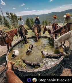 #goriding Grams of the Week