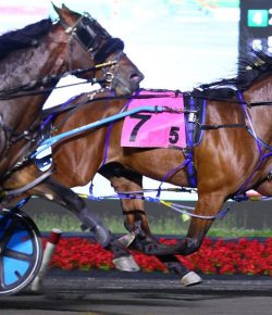 2025 Meadowlands Pace Preview