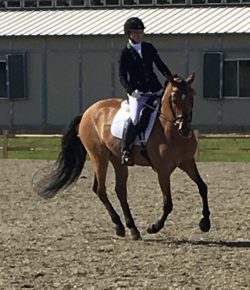 Training in the Right Way: The Good Side vs the Bad Side