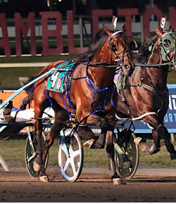 2025 Meadowlands Pace, Part 2: Race Day Recap