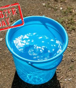 Mythbuster Monday: Horses Prefer to Drink From a Certain Color Bucket