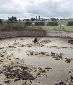 ‘Oh Crap’ Monday: Crappy Decisions