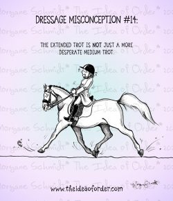 The Idea of Order: Dressage PSA…
