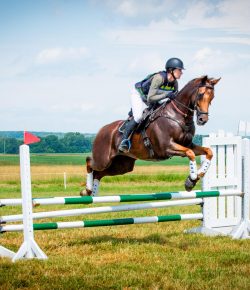 Thoroughbred Logic, Presented by Kentucky Performance Products: PPEs and PTSD