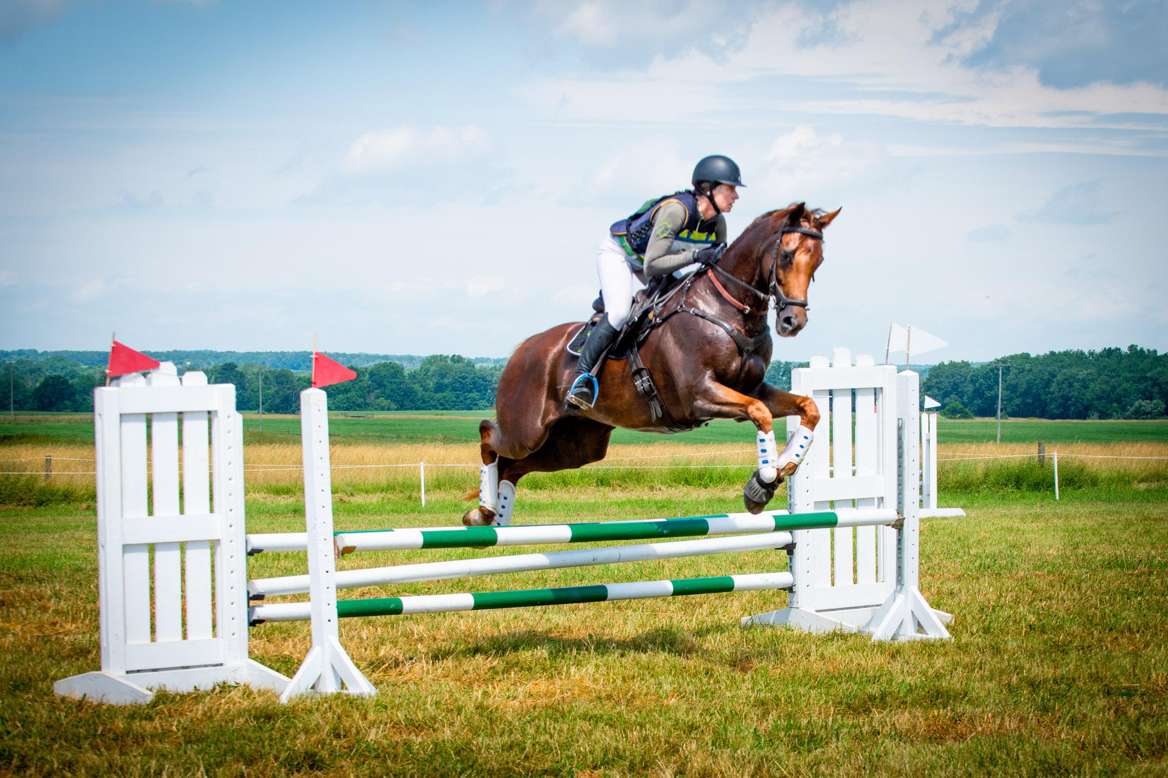 Thoroughbred Logic, Introduced by Kentucky Efficiency Merchandise: PPEs and PTSD Thoroughbred Logic, Introduced by Kentucky Efficiency Merchandise: PPEs and PTSD