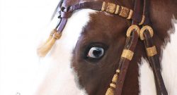 Reader Photo Challenge: Paint Horses