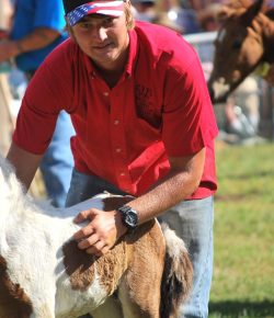 Witnessing History: The Record-Breaking Chincoteague Pony Auction