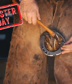 Mythbuster Monday: Farriers Can Prevent Arthritis