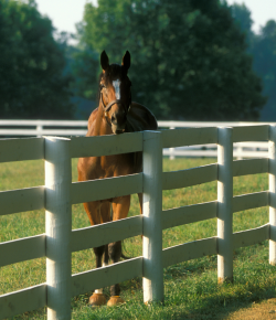 Turn Out Can Be Critical to Healing