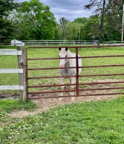 “I’m Clearly Starving to Death…”