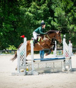 Thoroughbred Logic, Presented by Kentucky Performance Products: Accommodations