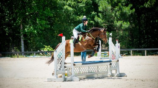 Thoroughbred Logic, Presented by Kentucky Performance Products: Accommodations