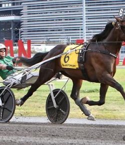 Nordic Catcher  S Makes History at the 100th Hambletonian Stakes