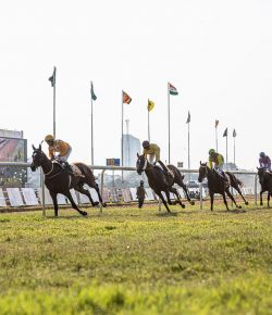 Why Horse Racing Stays One of the Most Popular Sports