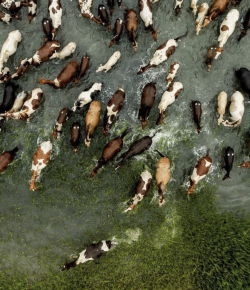 #goriding Grams of the Week