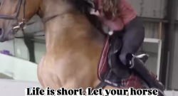 ‘Oh Crap’ Monday: Horse vs. Chicken