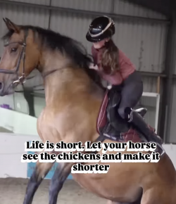 HN Year-In-Review: Top 5 ‘Oh Crap’ Mondays