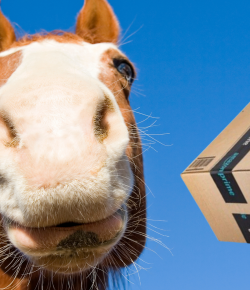 #GoShopping: 4 Amazon Buys That Make an Equestrian’s Life A Little Easier